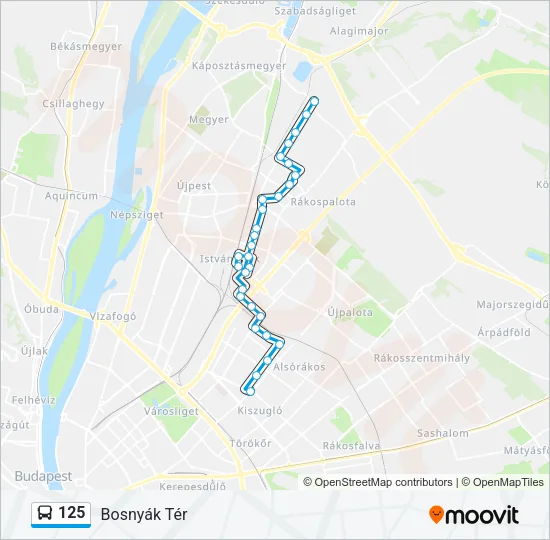 125 Bus Line Map