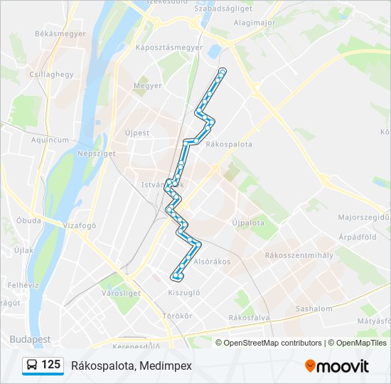 125 bus Line Map