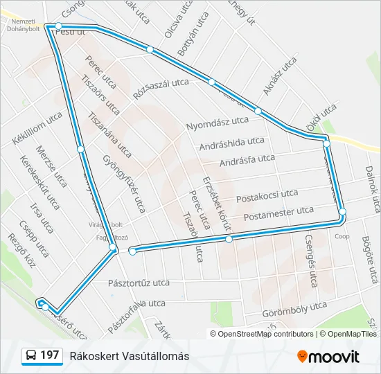 197 Bus Line Map