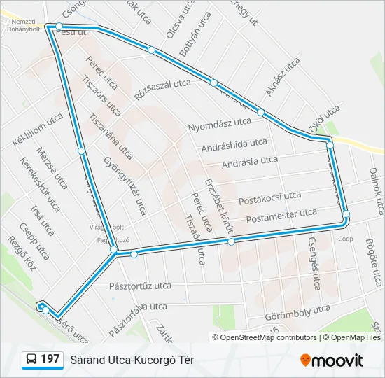 197 Bus Line Map