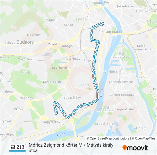 213 Bus Line Map