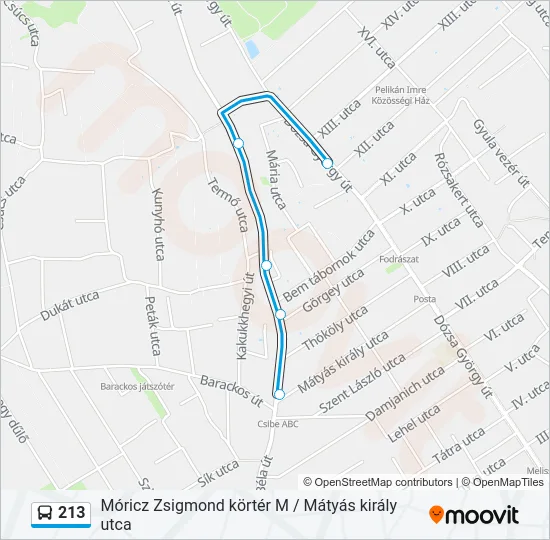 213 Bus Line Map