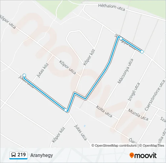 219 Bus Line Map