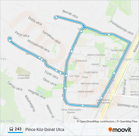 243 Bus Line Map