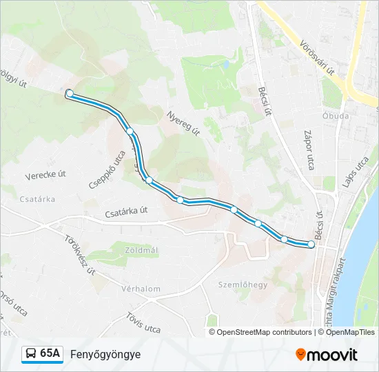 65A Bus Line Map