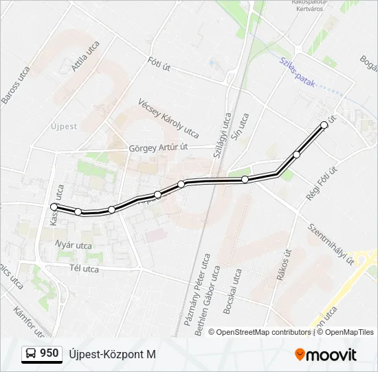 950 Bus Line Map