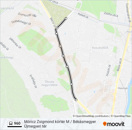 960 bus Line Map