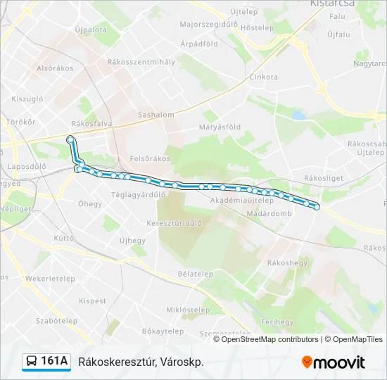 161A Bus Line Map