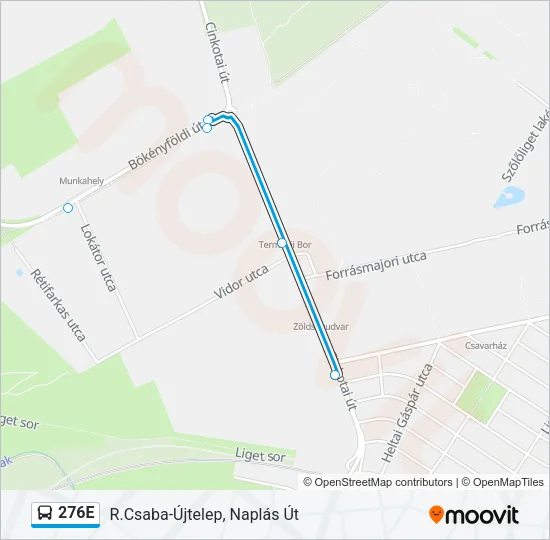 276E Bus Line Map