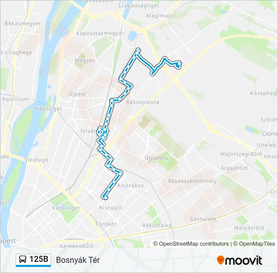 125B Bus Line Map
