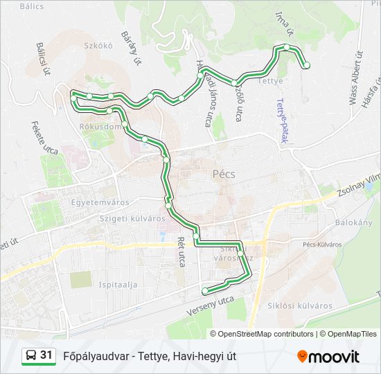 31 Bus Line Map