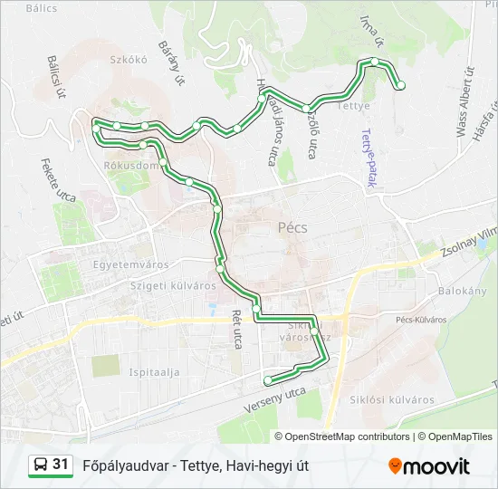 31 Bus Line Map
