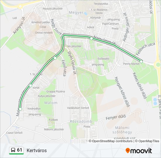 61 Bus Line Map