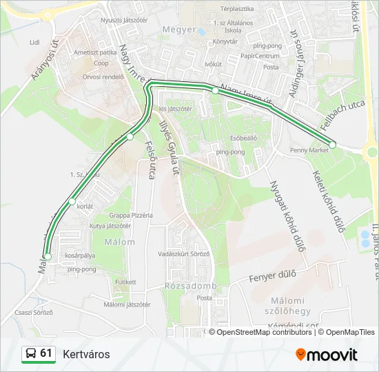 61 Bus Line Map