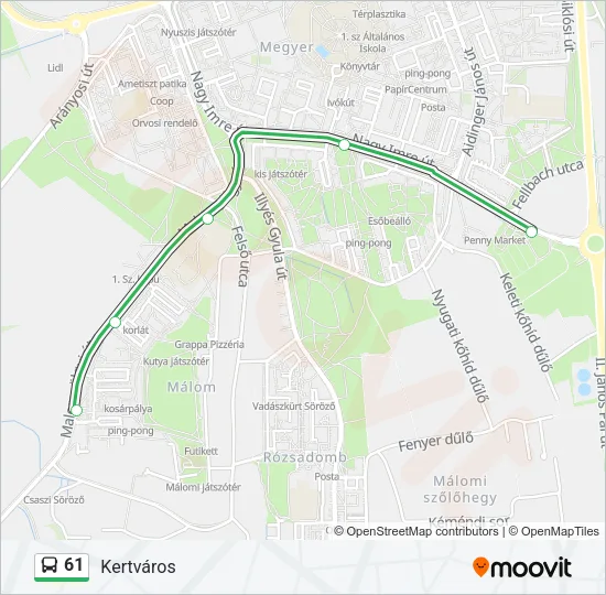 61 Bus Line Map