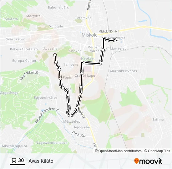 30 Bus Line Map