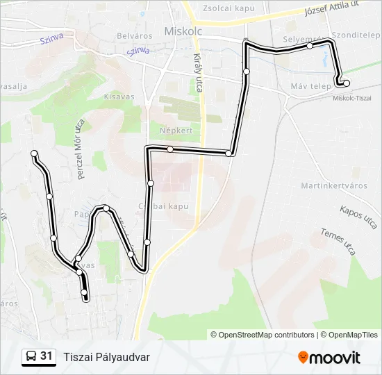 31 Bus Line Map