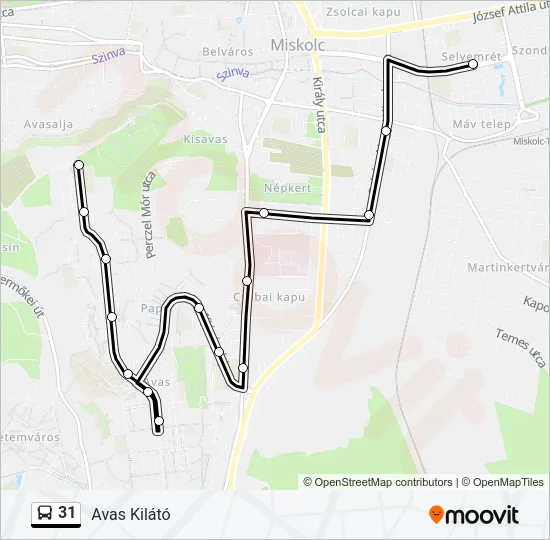 31 Bus Line Map