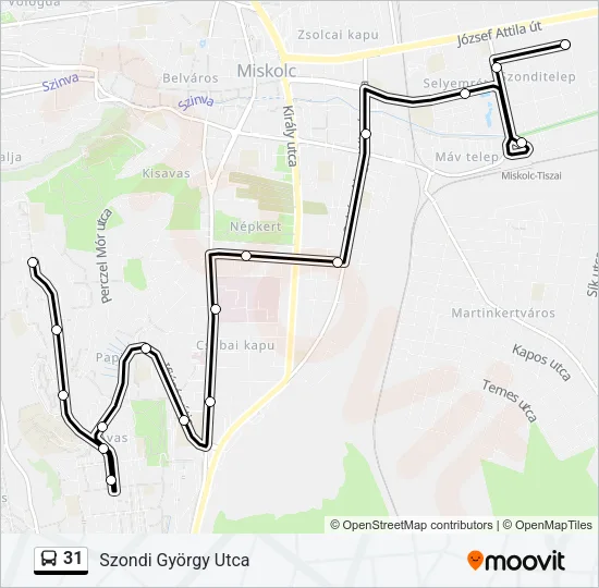 31 Bus Line Map
