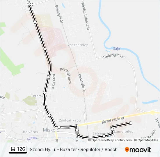 12G Bus Line Map