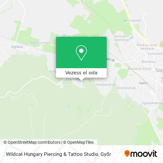 Wildcat Hungary Piercing & Tattoo Studio térkép