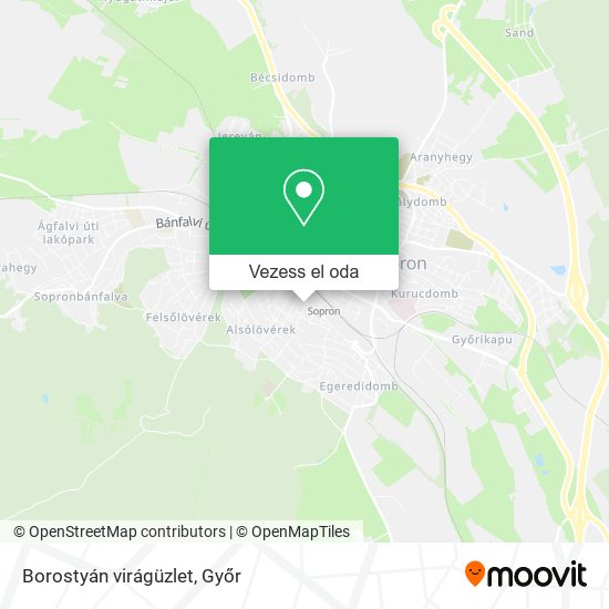 Borostyán virágüzlet térkép