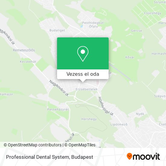 Professional Dental System térkép