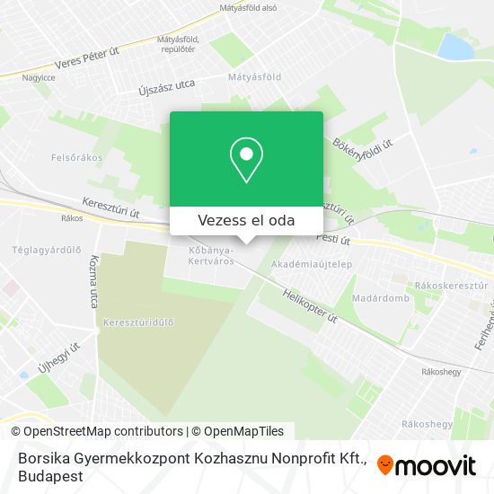 Borsika Gyermekkozpont Kozhasznu Nonprofit Kft. térkép