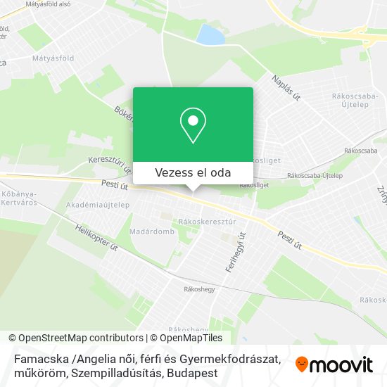Famacska /Angelia női, férfi és Gyermekfodrászat, műköröm, Szempilladúsítás térkép