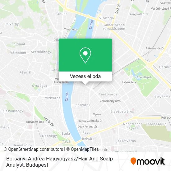 Borsányi Andrea Hajgyógyász / Hair And Scalp Analyst térkép