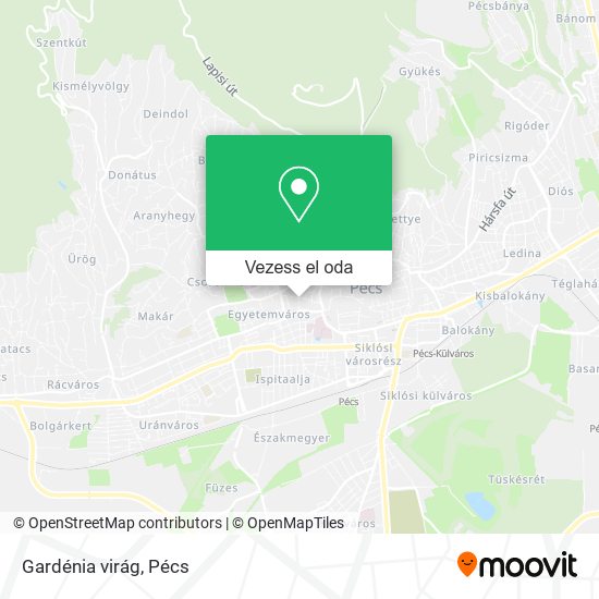 Gardénia virág térkép
