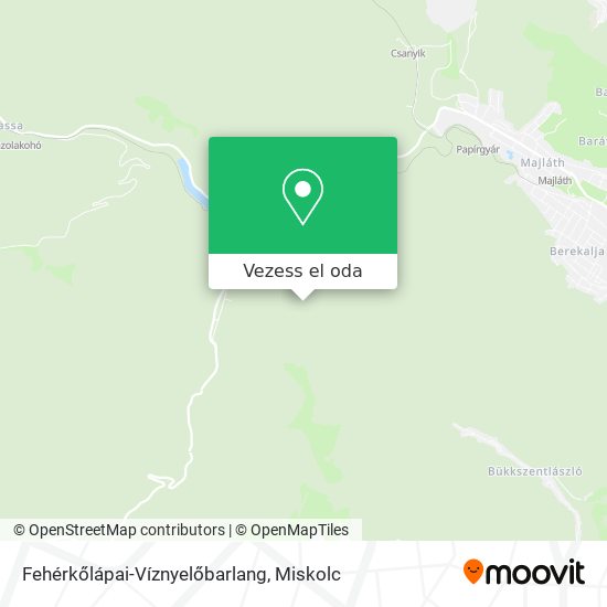 Fehérkőlápai-Víznyelőbarlang térkép