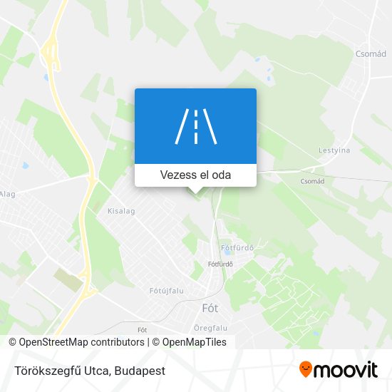 Törökszegfű Utca térkép