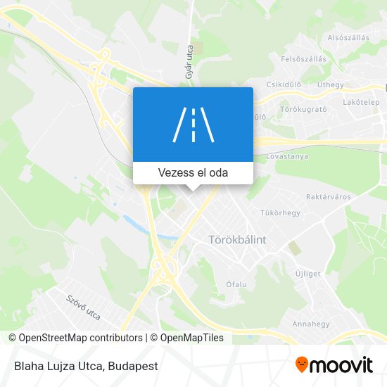 Blaha Lujza Utca térkép