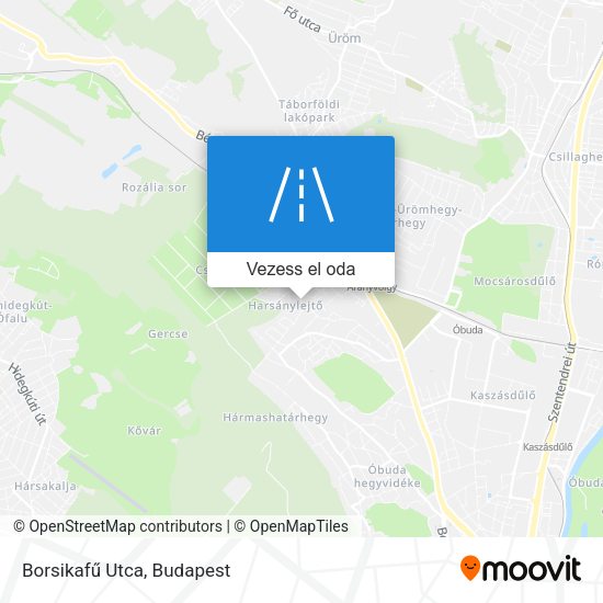 Borsikafű Utca térkép