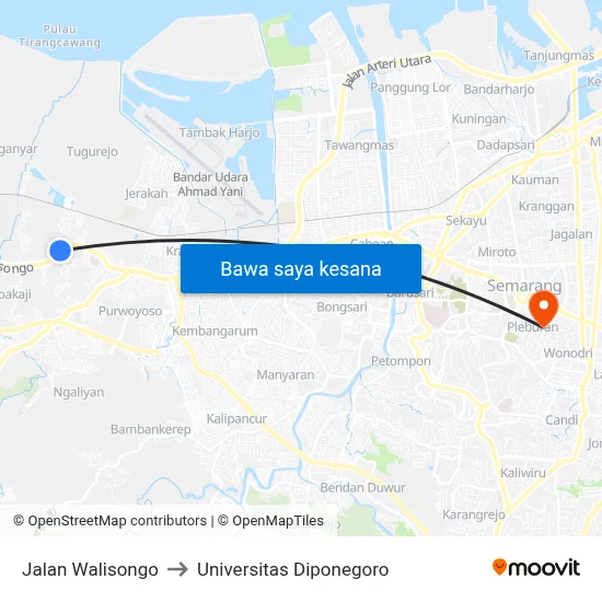 Jalan Walisongo to Universitas Diponegoro map