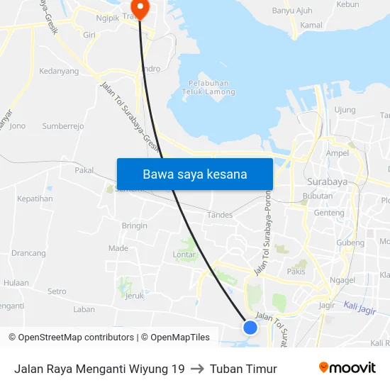 Jalan Raya Menganti Wiyung 19 to Tuban Timur map