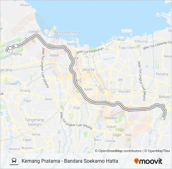 DAMRI KEMANG PRATAMA Bus Line Map