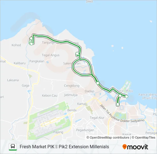 PIK HOUSING COMMUTER 2 Bus Line Map