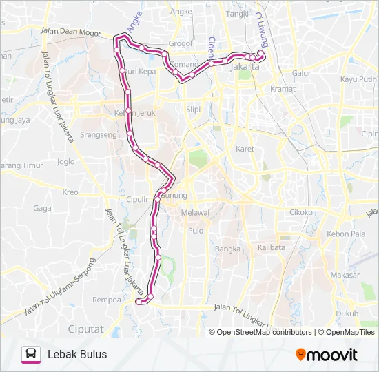8 Bus Line Map