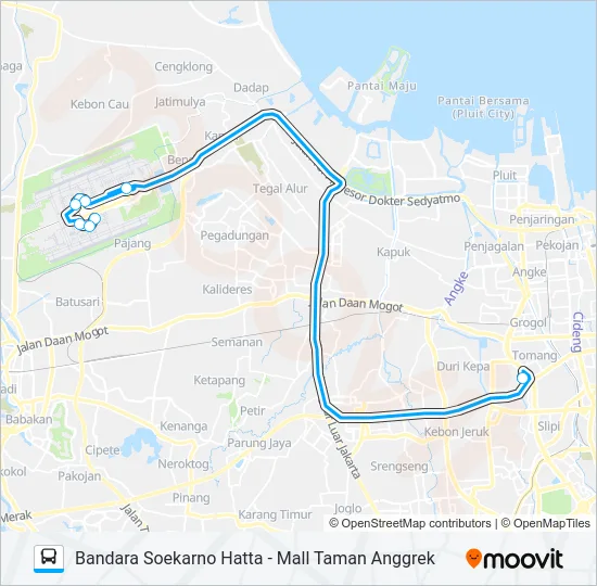 JAC MTA Bus Line Map