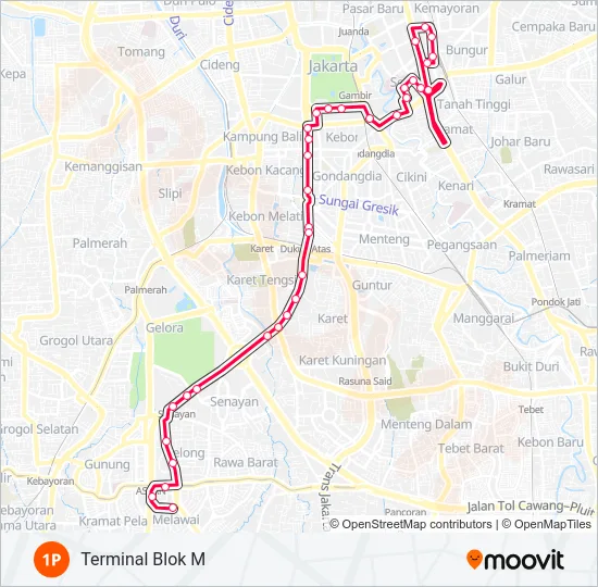1P Bus Line Map