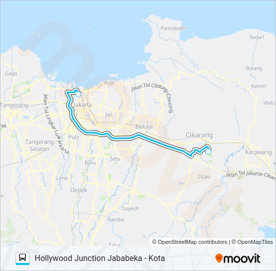 JRC HOLLYWOOD JUNCTION Bus Line Map