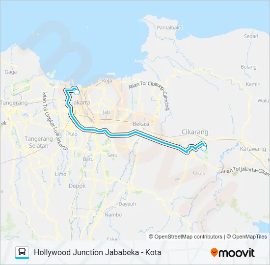 JRC HOLLYWOOD JUNCTION Bus Line Map