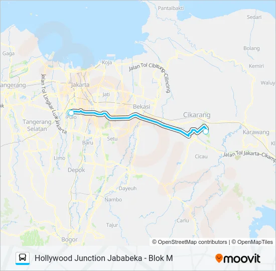 JRC HOLLYWOOD JUNCTION Bus Line Map