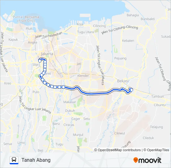 P50 Bus Line Map