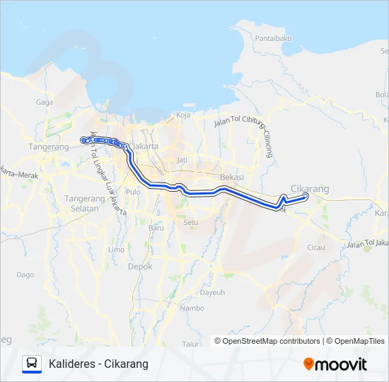 AC125 Bus Line Map
