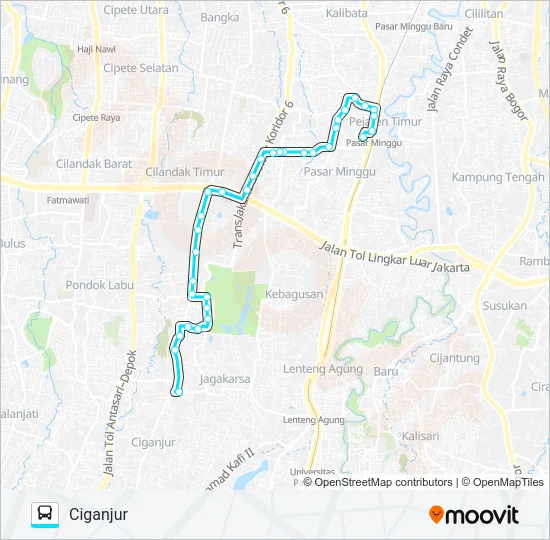 M20 Bus Line Map