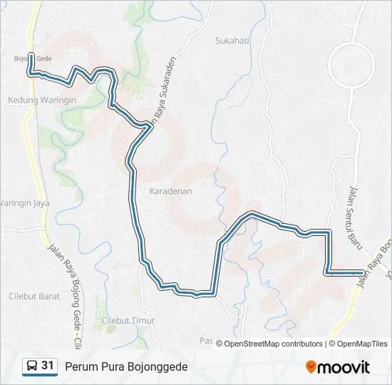 31 Bus Line Map