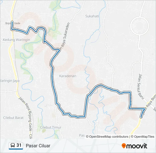 31 Bus Line Map